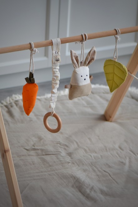 תליונים לאוניברסיטת תינוק "Bunny"