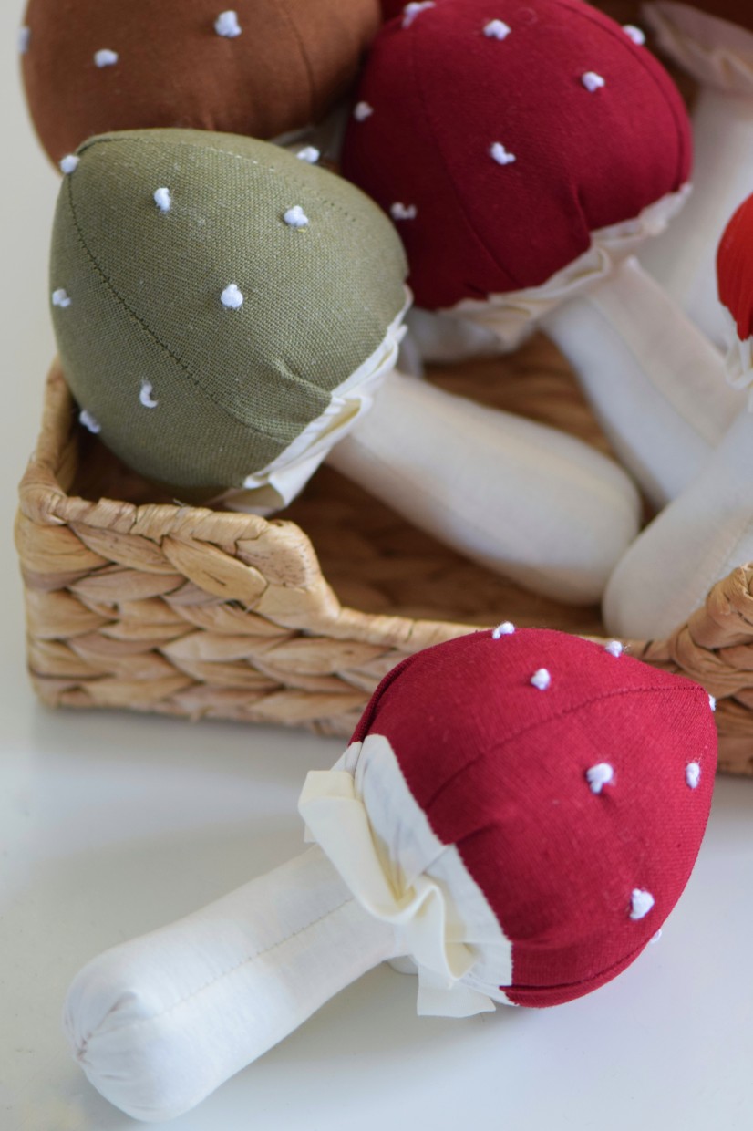 רעשן "Forest Mushroom"