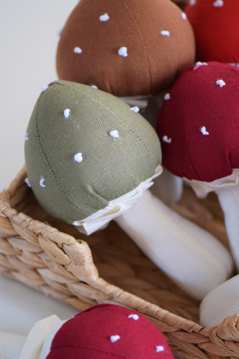 רעשן "Forest Mushroom"