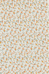 200x300